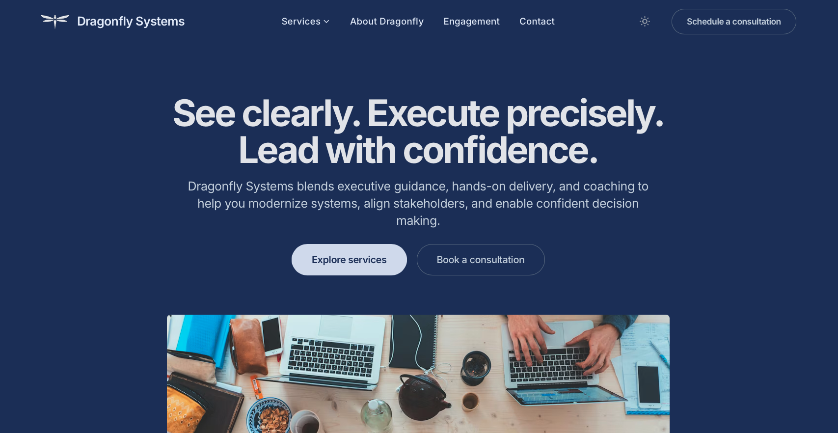 Dragonfly Systems website snapshot